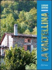 La Valtellina. Storia, arte e paesaggio, ambiente e tradizione lungo un raffinato itinerario enologico - Mauro Pedron,Gabriella Pignatelli - copertina