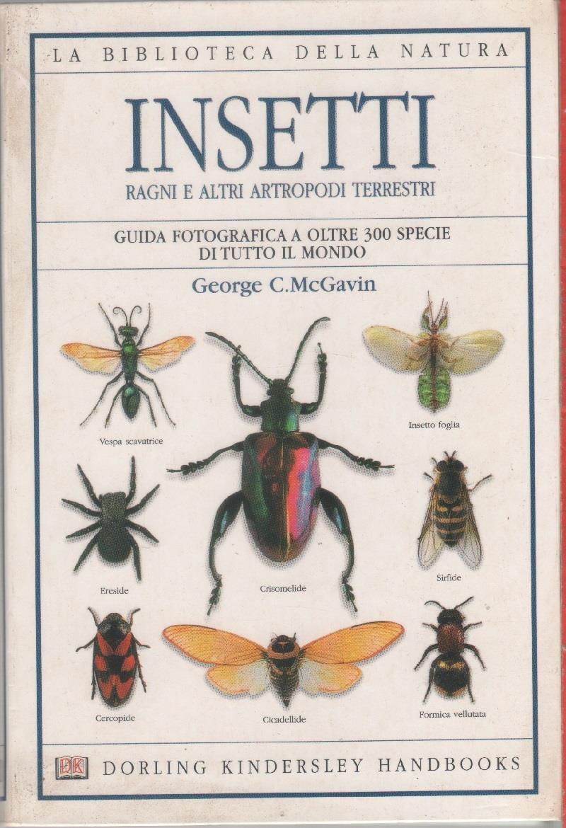 Insetti. Ragni e altri artropodi terrestri