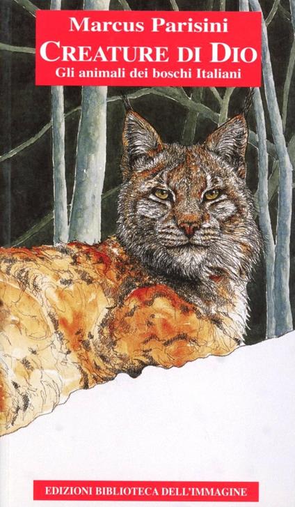 Creature di Dio. Gli animali del bosco veneto. Ediz. illustrata - Marcus Parisini - copertina