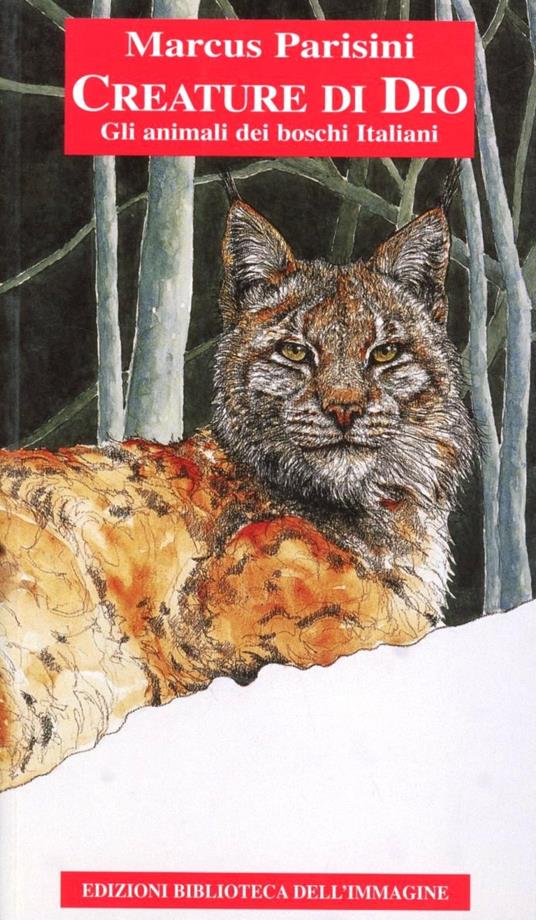 Creature di Dio. Gli animali del bosco veneto. Ediz. illustrata - Marcus Parisini - copertina