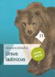 Ursus ladinicus. Guida breve