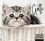 Gatti. Calendario 2022