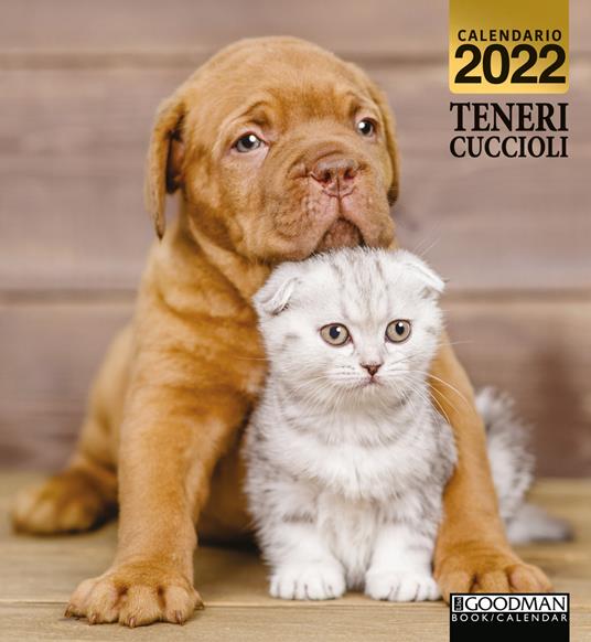 Teneri cuccioli. Calendario 2022 - copertina