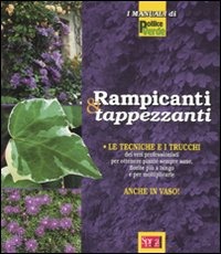 Libreria Internazionale Romagnosi snc