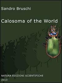 Calosoma of the world (Coleoptera, Carabidae) - Sandro Bruschi - copertina