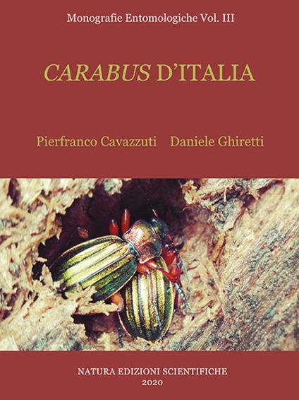 Carabus d'Italia - Daniele Ghiretti,Pierfranco Cavazzuti - copertina