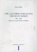 I Piccolomini d'Aragona duchi di Amalfi 1461-1610. Storia di un patrimonio nobiliare