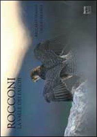 Rocconi. La valle dei falchi - Riccardo Nardi - copertina