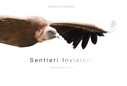 Sentieri invisibili-Evanescent paths. Ediz. illustrata - Gianluca Damiani - copertina