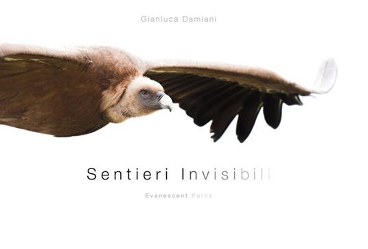 Sentieri invisibili-Evanescent paths. Ediz. illustrata - Gianluca Damiani - copertina