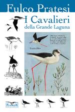 I cavalieri della grande laguna