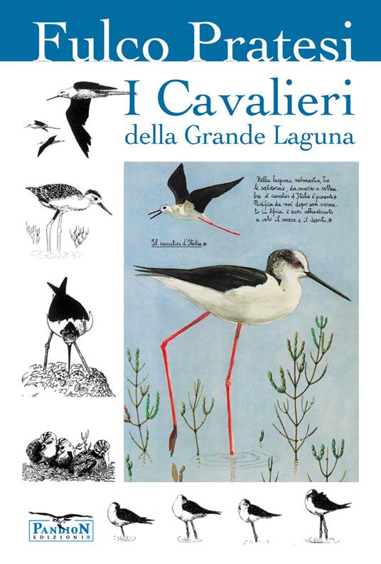 I cavalieri della grande laguna - Fulco Pratesi - copertina