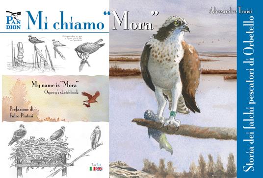 Mi chiamo «Mora». Storia dei falchi pescatori di Orbetello - copertina
