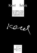 Guarda nel buio, com'è variopinto (testi dagli anni 1965-1995)