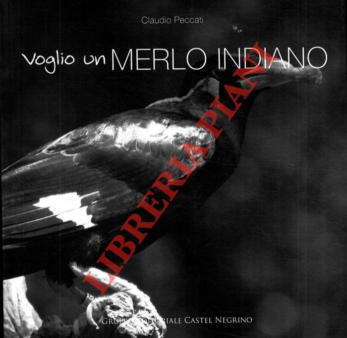 Libreria Piani