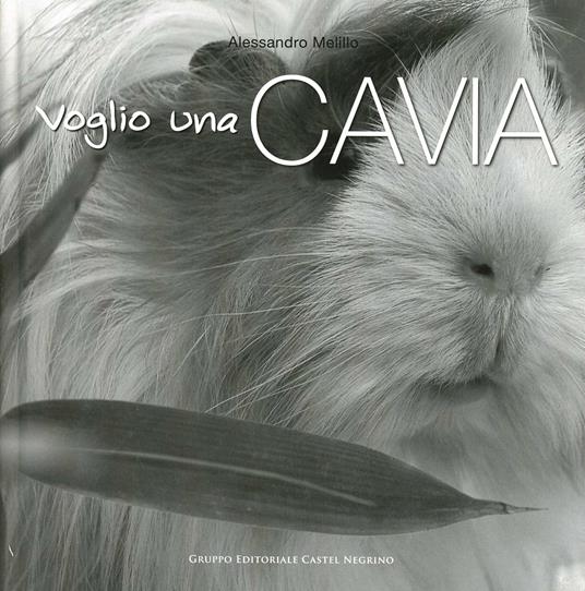 Voglio una cavia - Alessandro Melillo - copertina