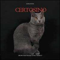 Certosino - Katia Pocci - copertina
