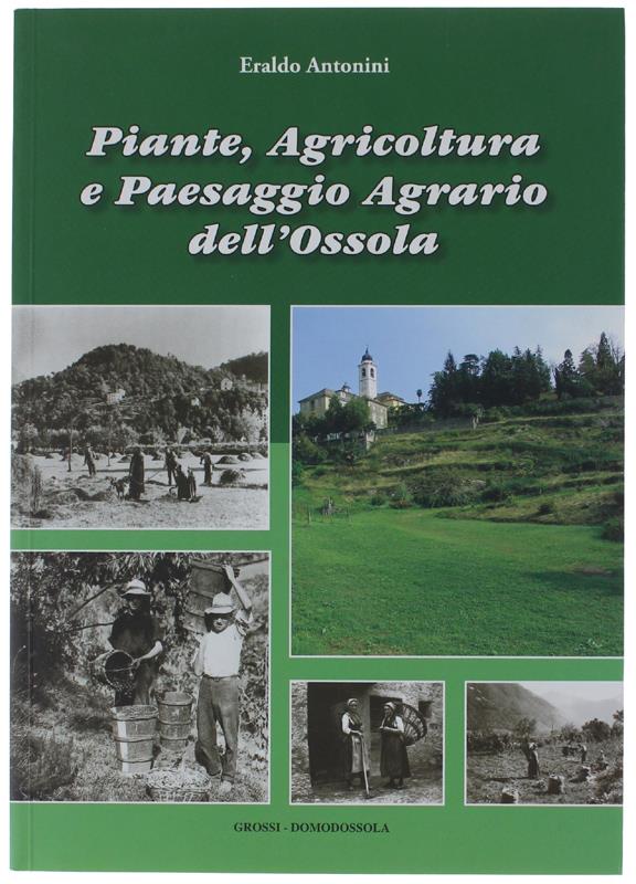 Bergoglio Libri d'Epoca Snc