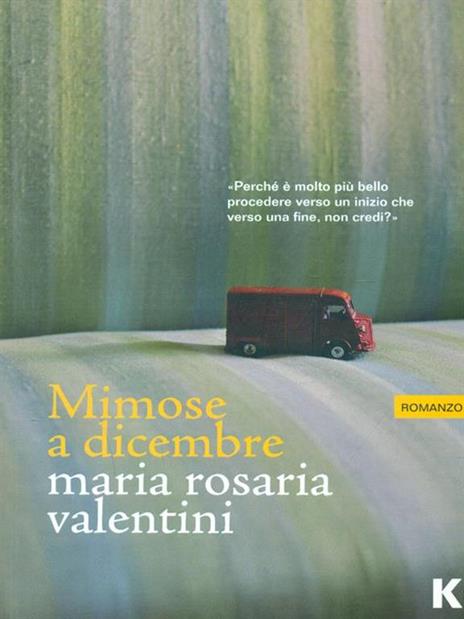 Mimose a dicembre - Maria Rosaria Valentini - 2