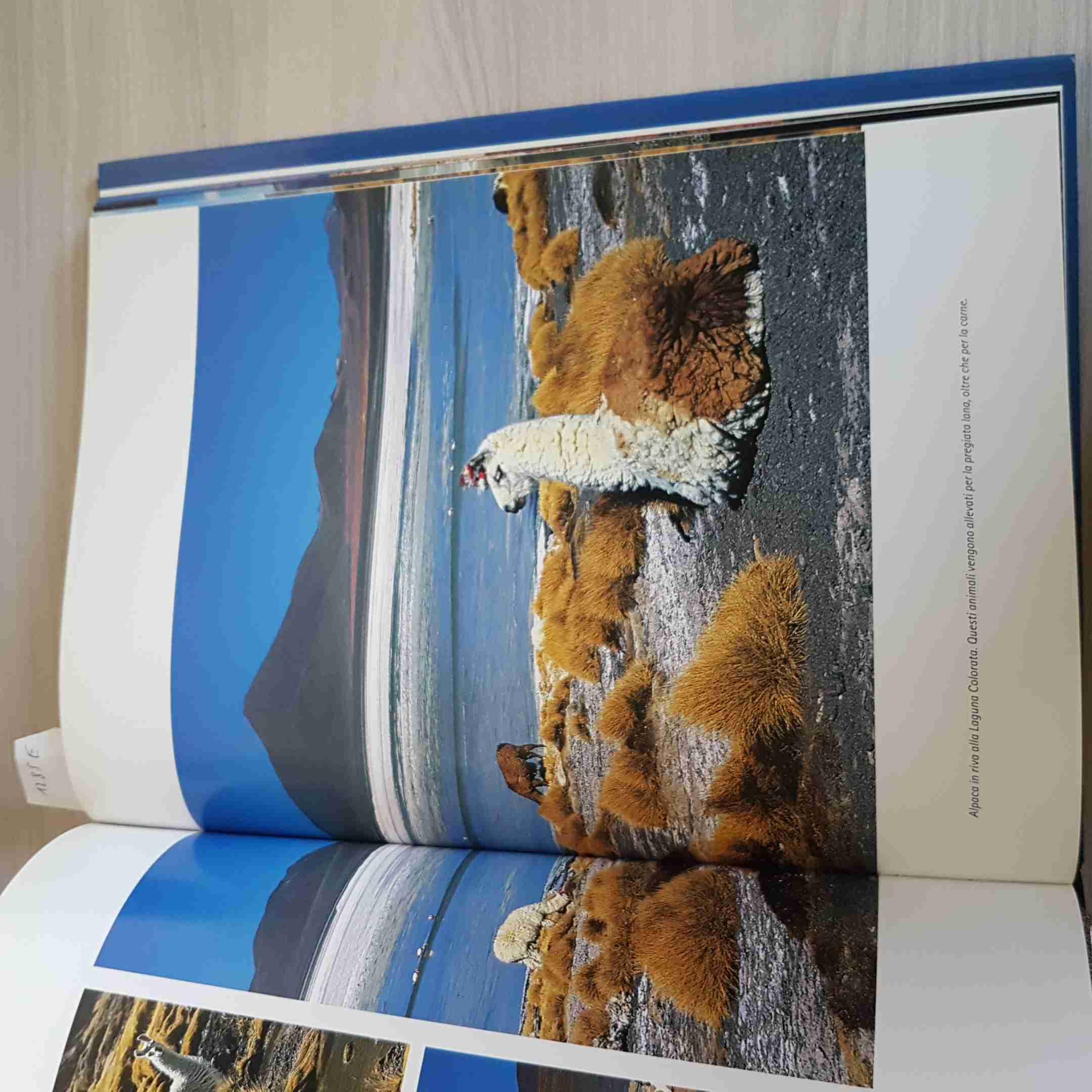 La maratona degli Inca. L'avventura di Tom Perry, primo uomo a correre a piedi nudi su sale, sabbia, sassi, sui deserti di Cile e Bolivia