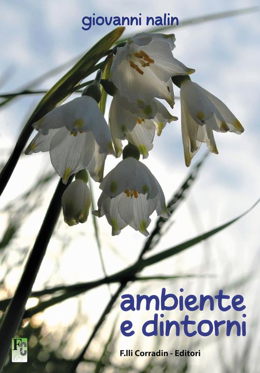 Ambiente e dintorni - Giovanni Nalin - copertina