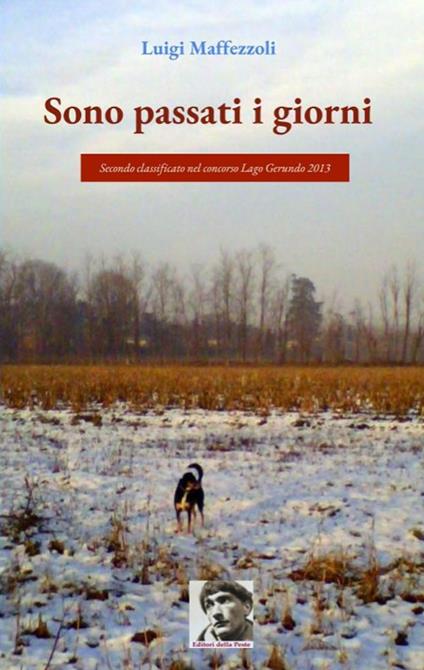 Sono passati i giorni - Luigi Maffezzoli - copertina