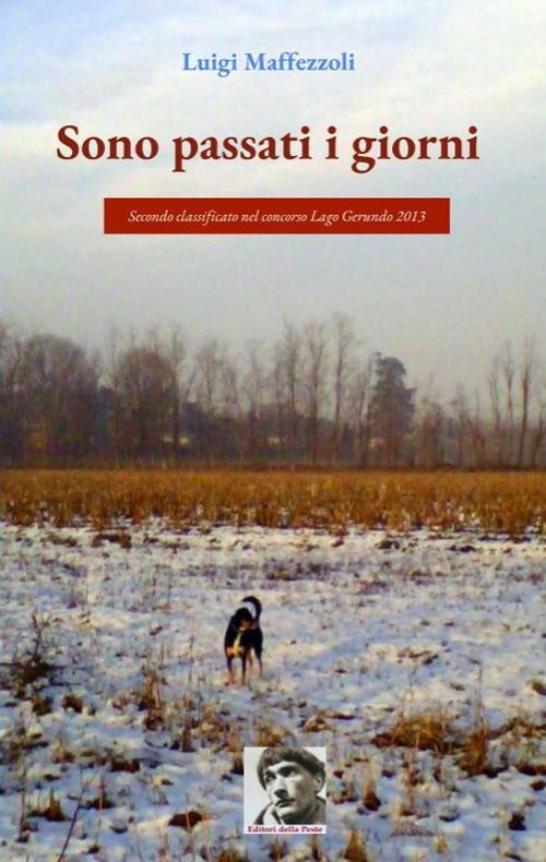 Sono passati i giorni - Luigi Maffezzoli - copertina