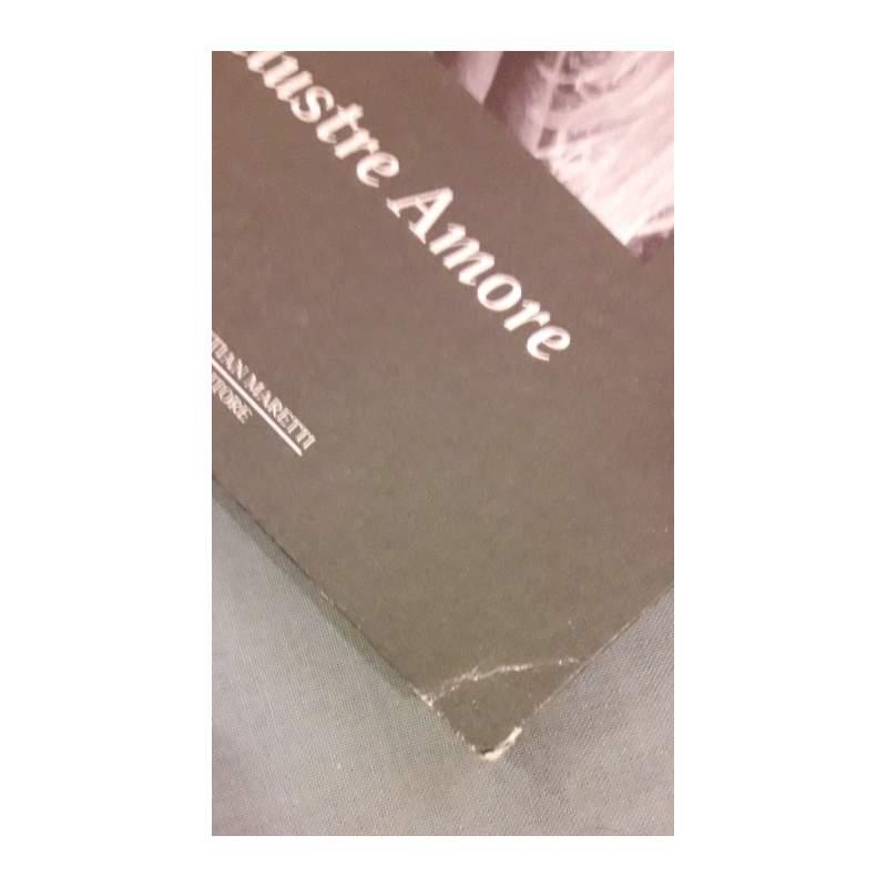 Illustre amore. Raccolta di poesie