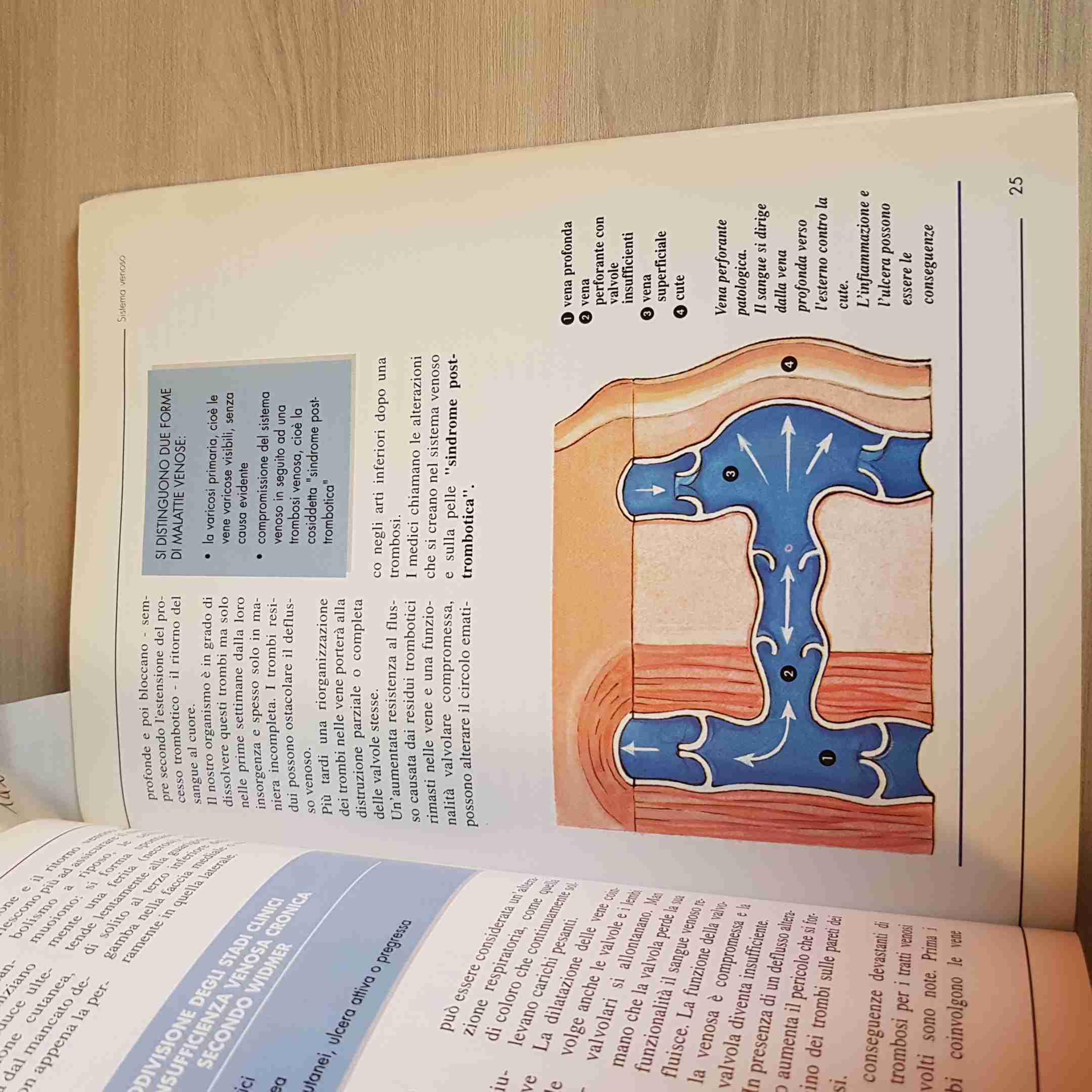 Riabilitazione vascolare. Consigli ed esercizi per i pazienti con problemi venosi