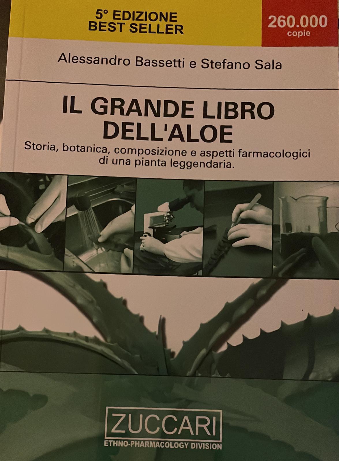Librisaggi