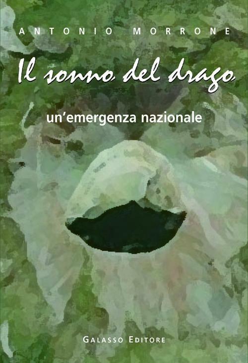 Il sonno del drago. Un'emergenza nazionale - Antonio Morrone - copertina