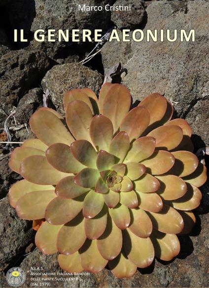 Il genere Aeonium. Ediz. illustrata - Marco Cristini - copertina
