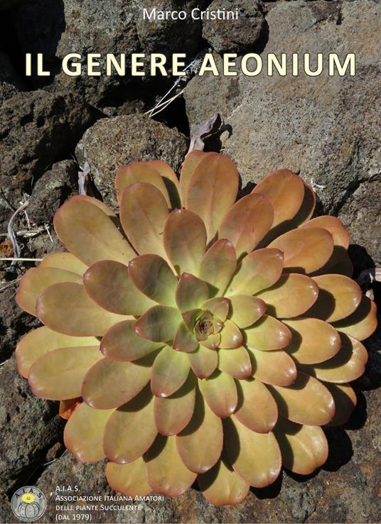 Il genere Aeonium. Ediz. illustrata - Marco Cristini - copertina
