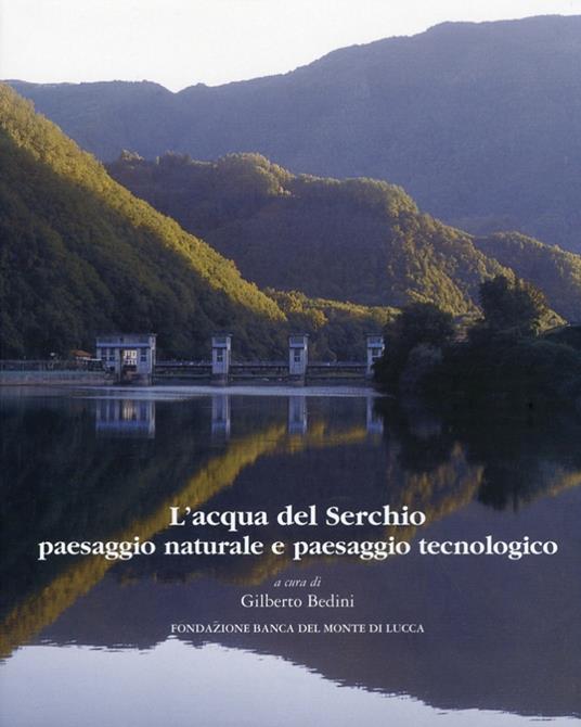 L' acqua del Serchio. Paesaggio naturale e paesaggio tecnologico - Gilberto Bedini,Carlo Cantini - copertina