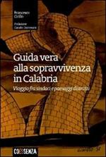 Guida vera alla sopravvivenza in Calabria. Viaggio fra sindaci e paesaggi distrutti