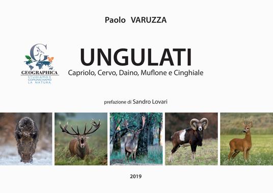 Ungulati. Capriolo, cervo, daino, muflone e cinghiale - Paolo Varuzza - copertina