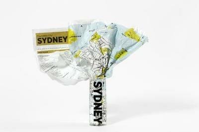 Crumpled city map. Sydney. Ediz. multilingue - copertina