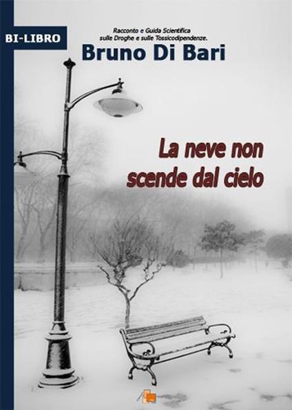 La neve non scende dal cielo - Bruno Di Bari - copertina