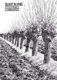 Svint in pais - Stefano Lombardi - copertina