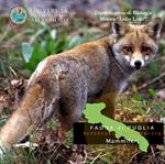 Mammiferi. Fauna di Puglia. Repertorio fotografico. DVD-ROM