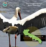 Uccelli. Fauna di Puglia. Repertorio fotografico. DVD-ROM
