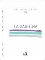La saggina. Ovvero scopa di una strega