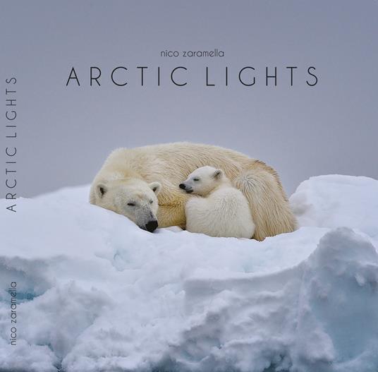 Artic lights. Ediz. illustrata - Nico Zaramella - copertina