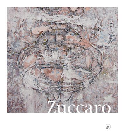 Piero Zuccaro. Flyby. Ediz. multilingue - copertina