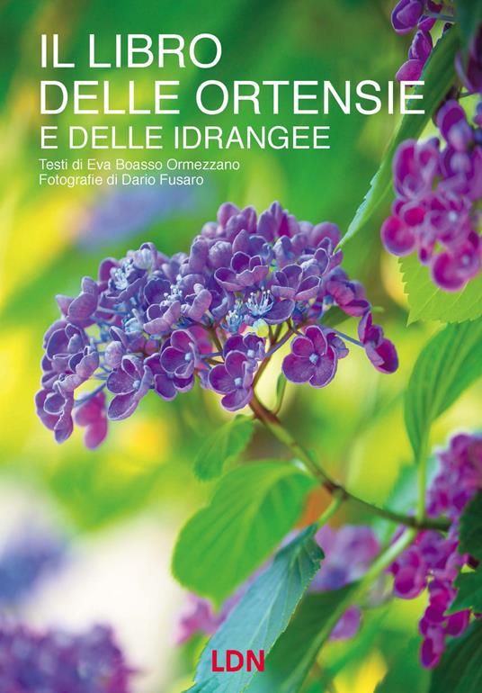 Il libro delle ortensie e dell idrangee - Eva Boasso Ormezzano - copertina