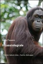 Il cassintegrale