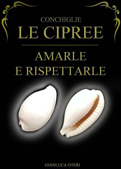 Conchiglie, le Cipree. Amarle e rispettarle - Gianluca Oteri - copertina