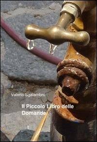 Il piccolo libro delle domande - Valerio Sgalambro - copertina