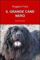 Nome prodotto