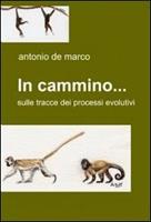 Nome prodotto